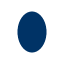 ellipse_vertical_wide rasterized SVG