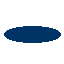 ellipse_wide_thick bitmap